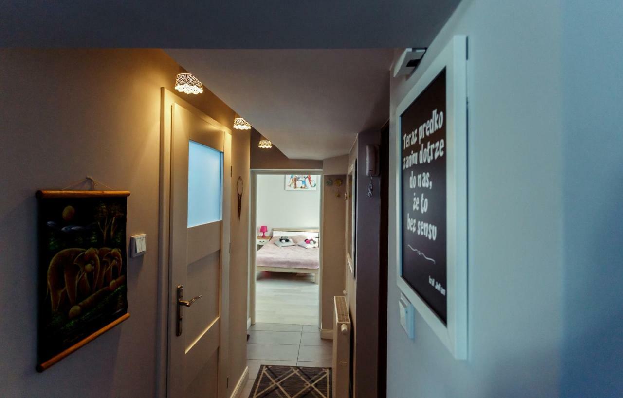 Apartment Cracow クラクフ エクステリア 写真
